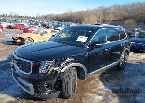 2024 Kia Telluride Sx from USA, damaged, VIN 5XYP5DGC6RG450718